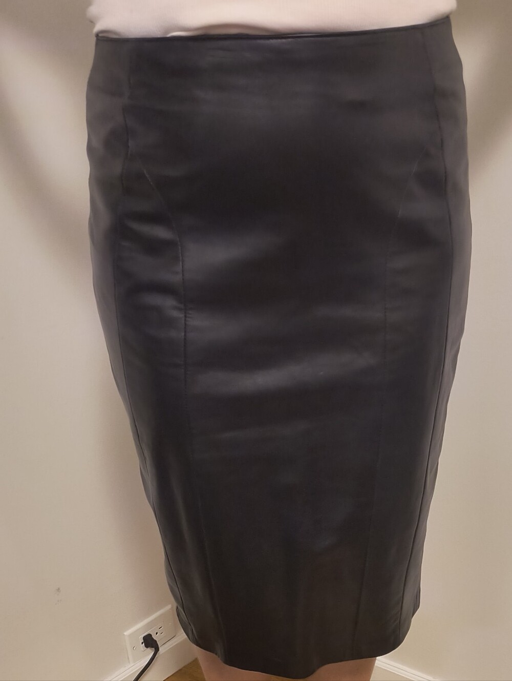 Danier Black Leather Pencil Skirt